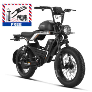 HappyRun G100 Pro 6000W Electric Bike Dual Battery