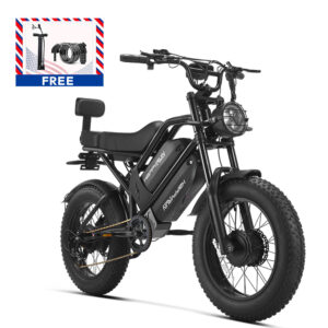 HappyRun G70 Pro Dual-Motor Dual-Battery Electric Cargo Bike