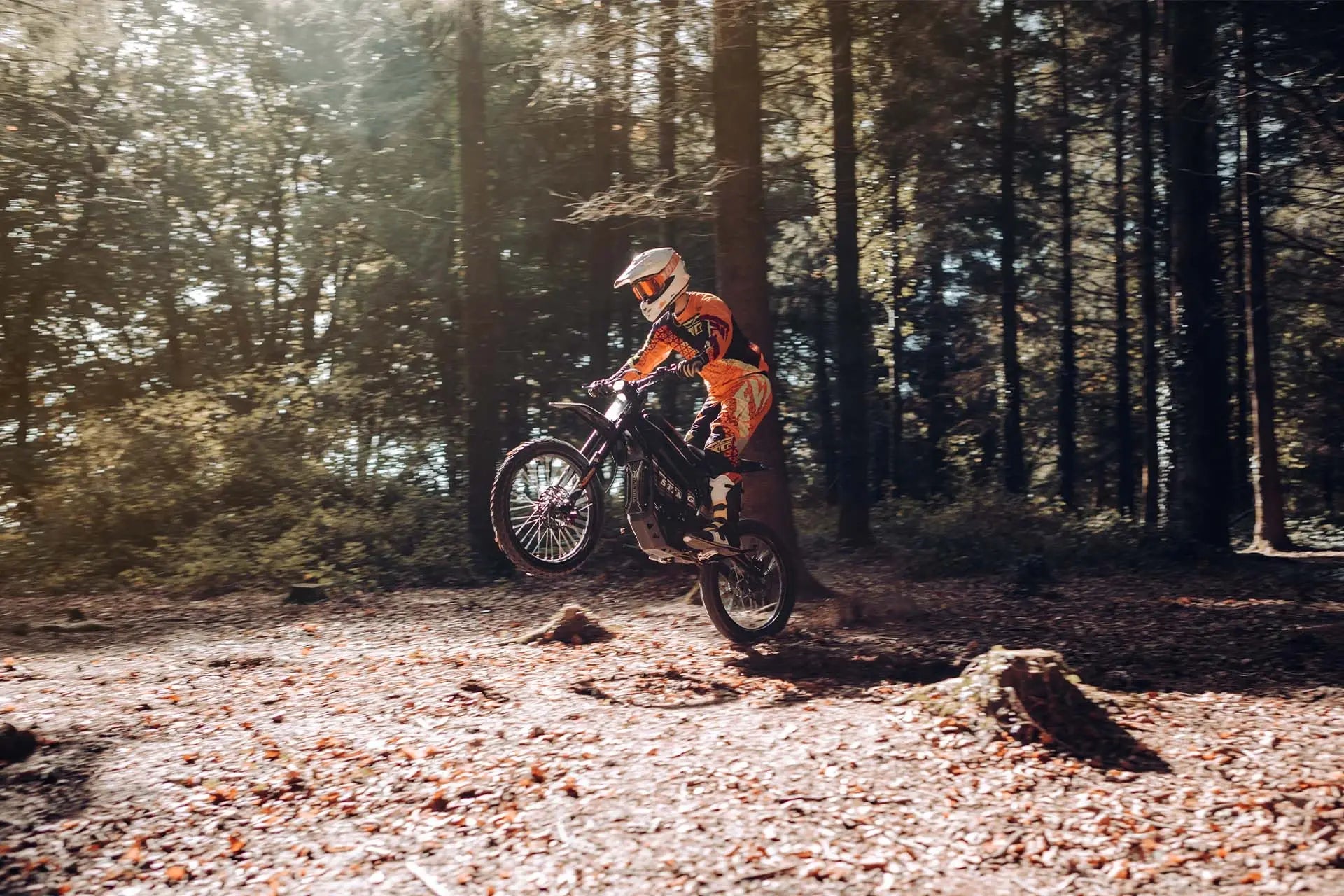 Talaria Sting R MX4 - Image 4